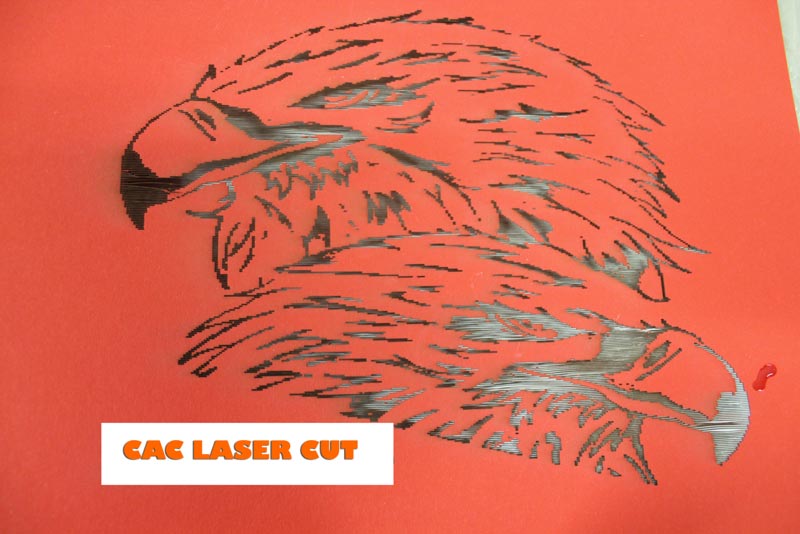 laseradler500pix